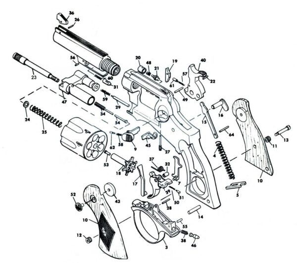 CHIEN RUGER SECURITY SIX – Image 3