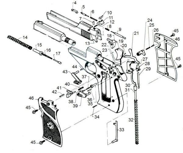 CHIEN STAR F – Image 2