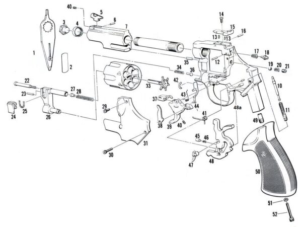 CHIEN DAN-WESSON – Image 3