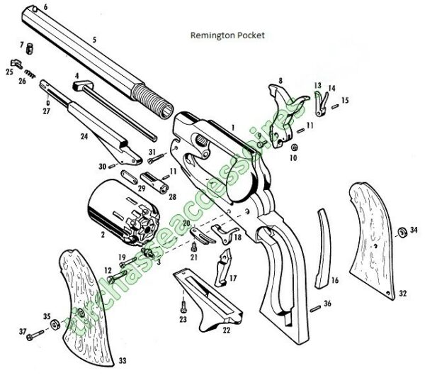 CHIEN REMINGTON POCKET PIETTA – Image 4
