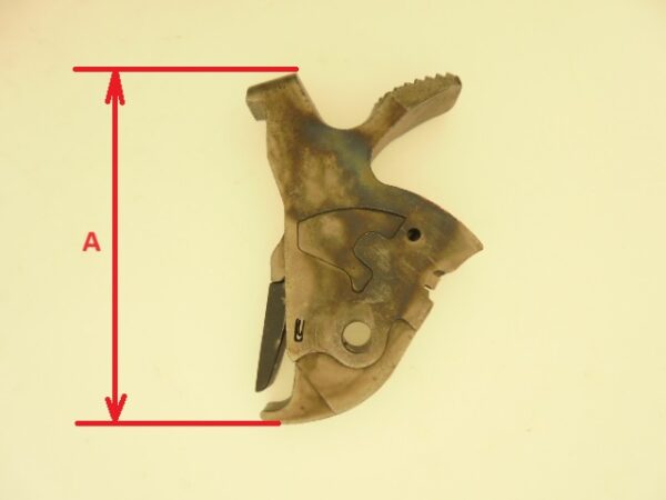 CHIEN TAURUS – Image 4